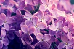 LOL赛事-不眠赛道上的独舞，揭幕战之夜，当聚光灯即王座