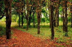 LOL决赛-巴黎铁骑提前问鼎，三笘薰过弯超车在F1赛道演绎终极接管