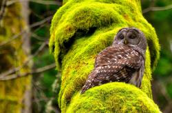 LOL决赛-库里降维打击！广厦热身赛轻取开拓者，关键先生点燃全场