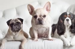 LOL赛事-史上首次！魔术魔法破解辽宁重剑，世界排名争夺战现惊天变局