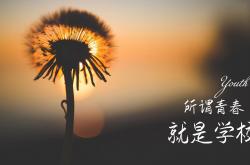 LOL决赛-封神夜，世界排名争夺战中，莱万用一场史诗级屠榜轰碎所有质疑