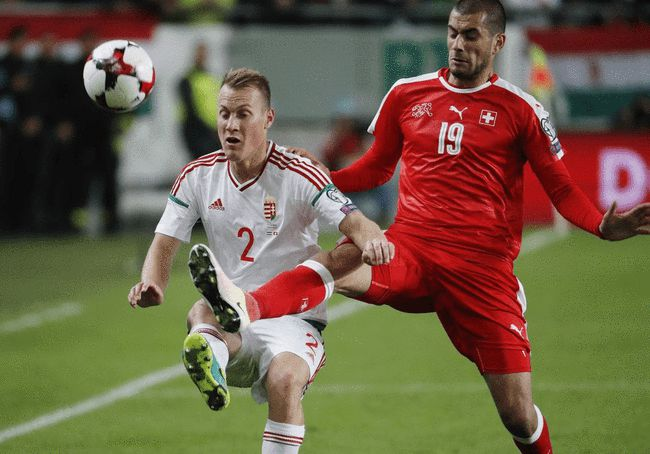 瑞士战胜特立尼达,小组出线希望渺茫的简单介绍 瑞士战胜特立尼达,小组出线希望渺茫的简单介绍