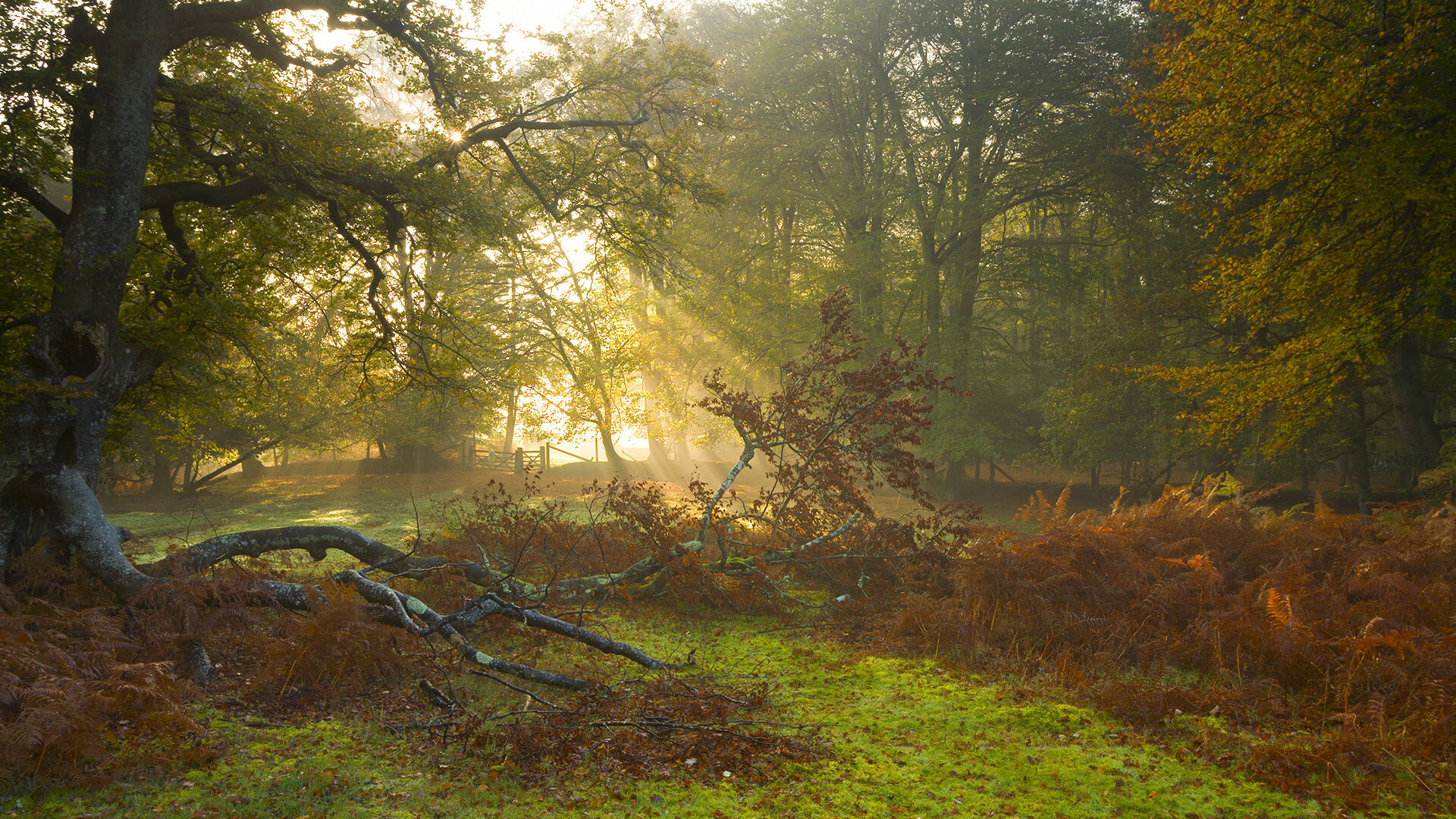 平庸的伟大,勒布朗·詹姆斯最平凡的关键之夜
