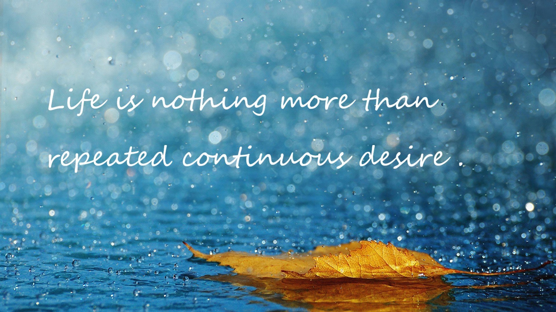 命运交叉之夜,当本泽马的炮火照亮摩洛哥对塞维利亚的无声碾压