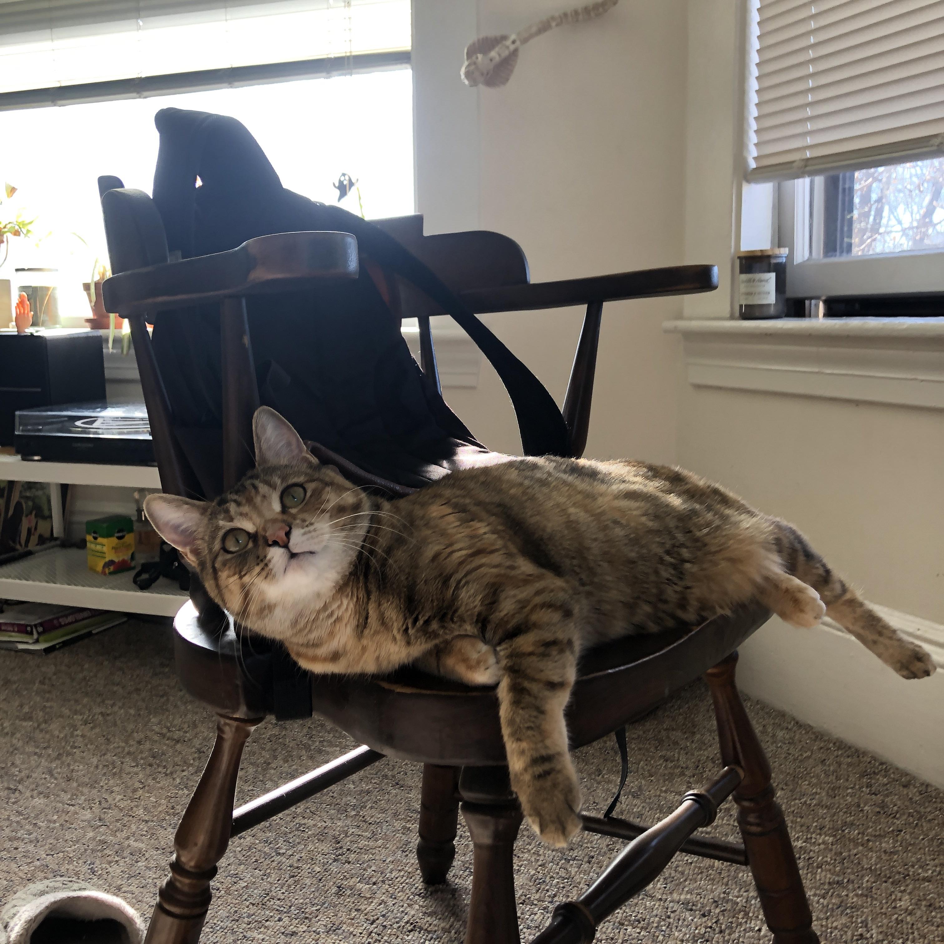 绿茵棋盘，当芬兰王车易位，末节带走埃及的沙漏