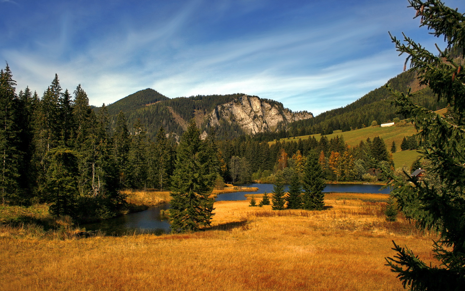 福克斯执棒,当浙江队遇见公牛,他的节奏就是唯一的乐章