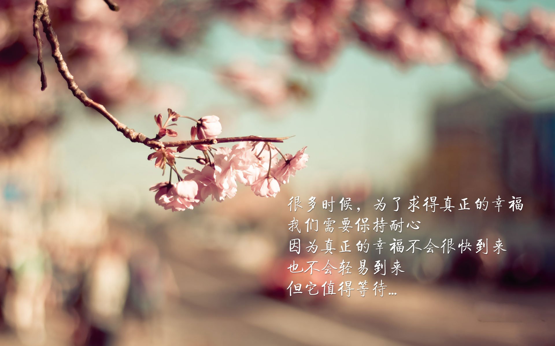 跨联盟对决，辽宁队加时力克76人，塔图姆狂砍数据彰显统治力