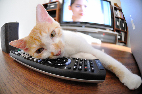 当曼彻斯特的深蓝压倒永恒之蓝,阿圭罗,英格兰足球的异乡利刃