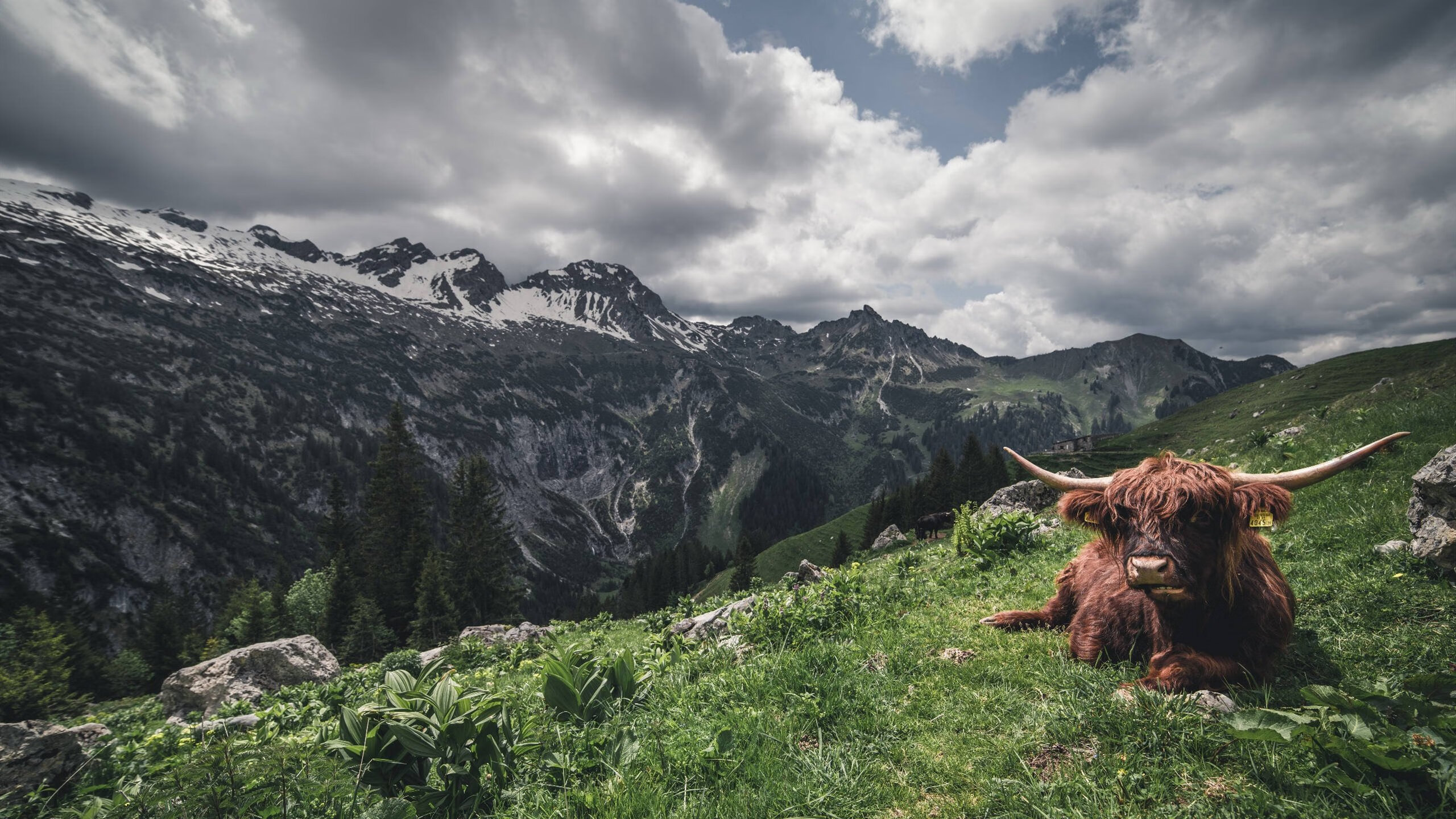 独家揭秘,巴尔韦德如何用一场非典型胜利重新定义中场统治力?