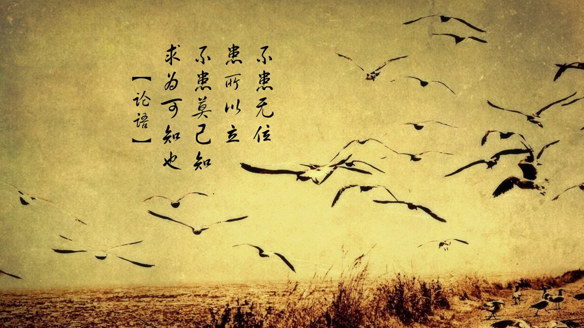 风暴之眼,当保罗的蜂群席卷五棵松