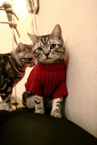 王者降临,戈麦斯独造三球,土耳其力克丹麦锁定胜局