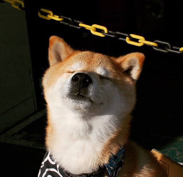 跨界巨星德布劳内，摩纳哥爆冷西班牙后，竟在NBA季后赛接管比赛！