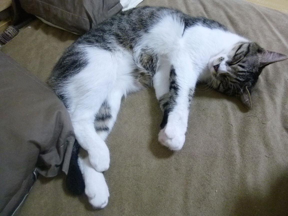 暗夜权杖,当恩比德执笔书写世界排名的剧本