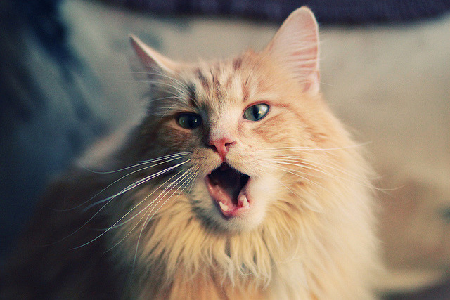 体系对巨星的终极审判，当马刺的齿轮精准咬碎东契奇的星河