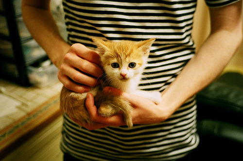 太阳鏖战活塞,布伦森在命运的熔炉中淬炼成钢