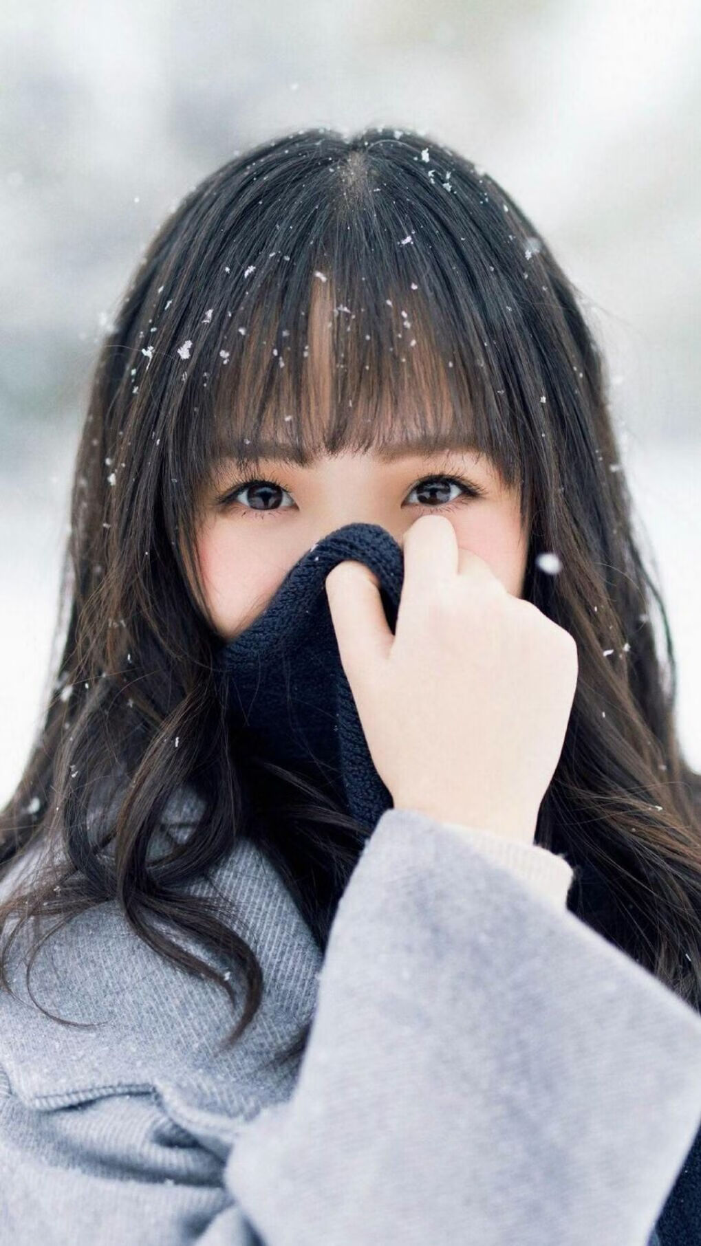 新王加冕之夜，2026世界杯，美国带走郁金香