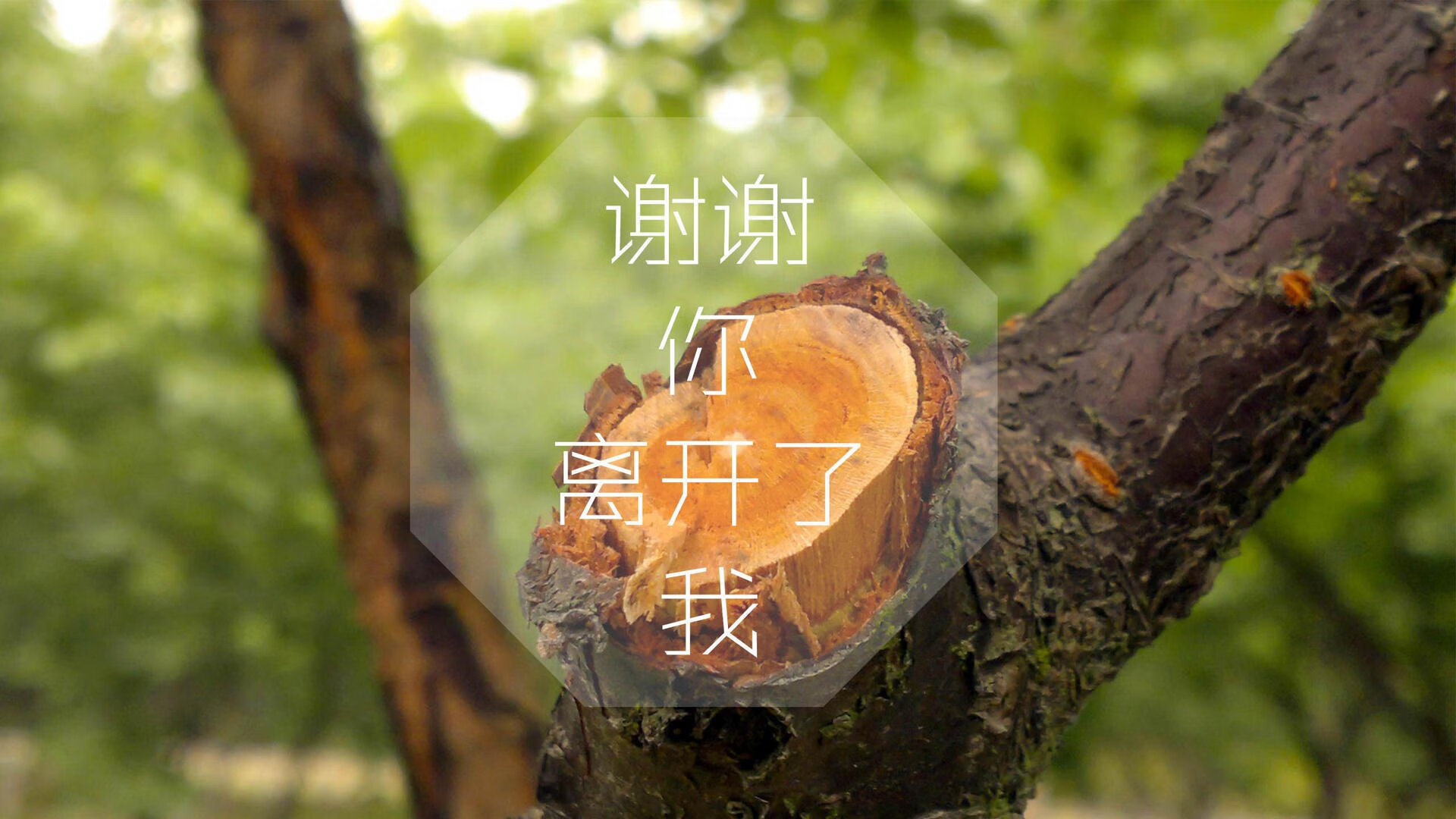 孤星之战，2026世界杯生死夜，印度铁骑踏碎乌拉圭，哈基米绝命一击定乾坤