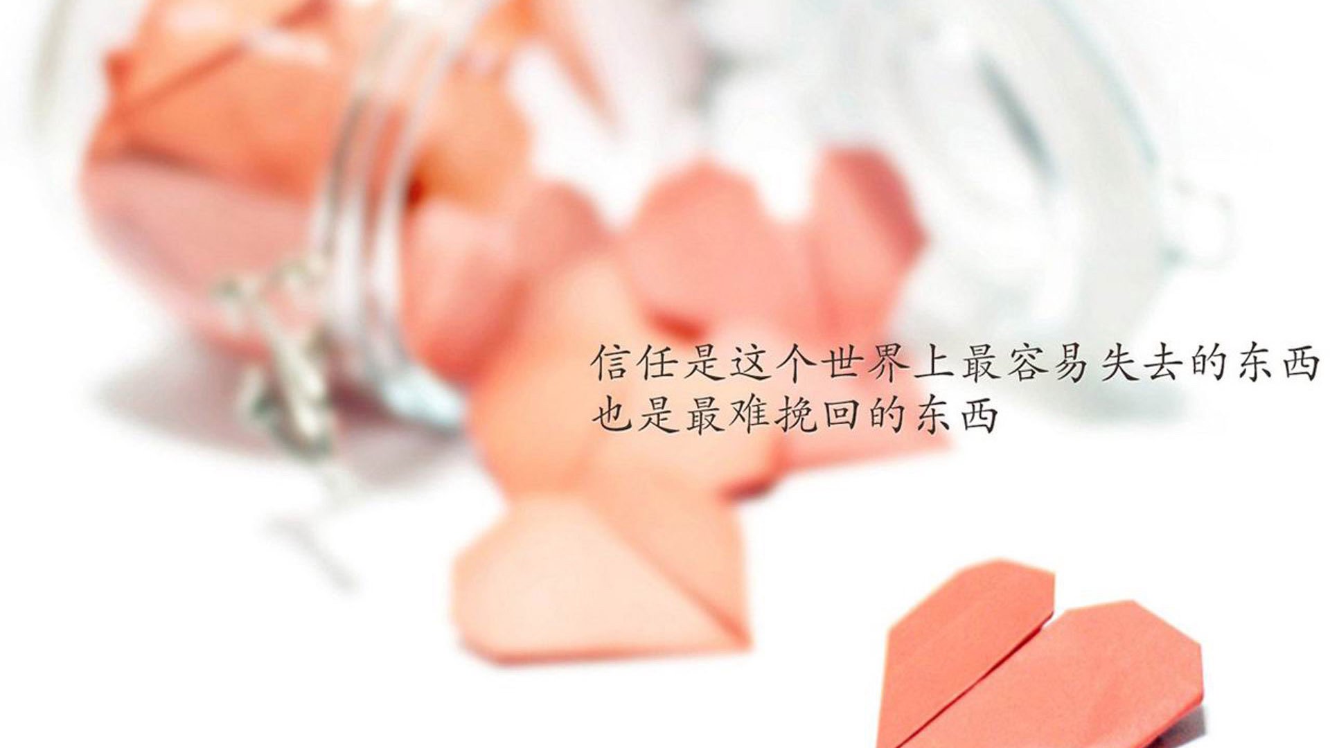 郁金香的闪电,还是波兰的挽歌?当三笘薰让2026世界杯C组的风向彻底改变