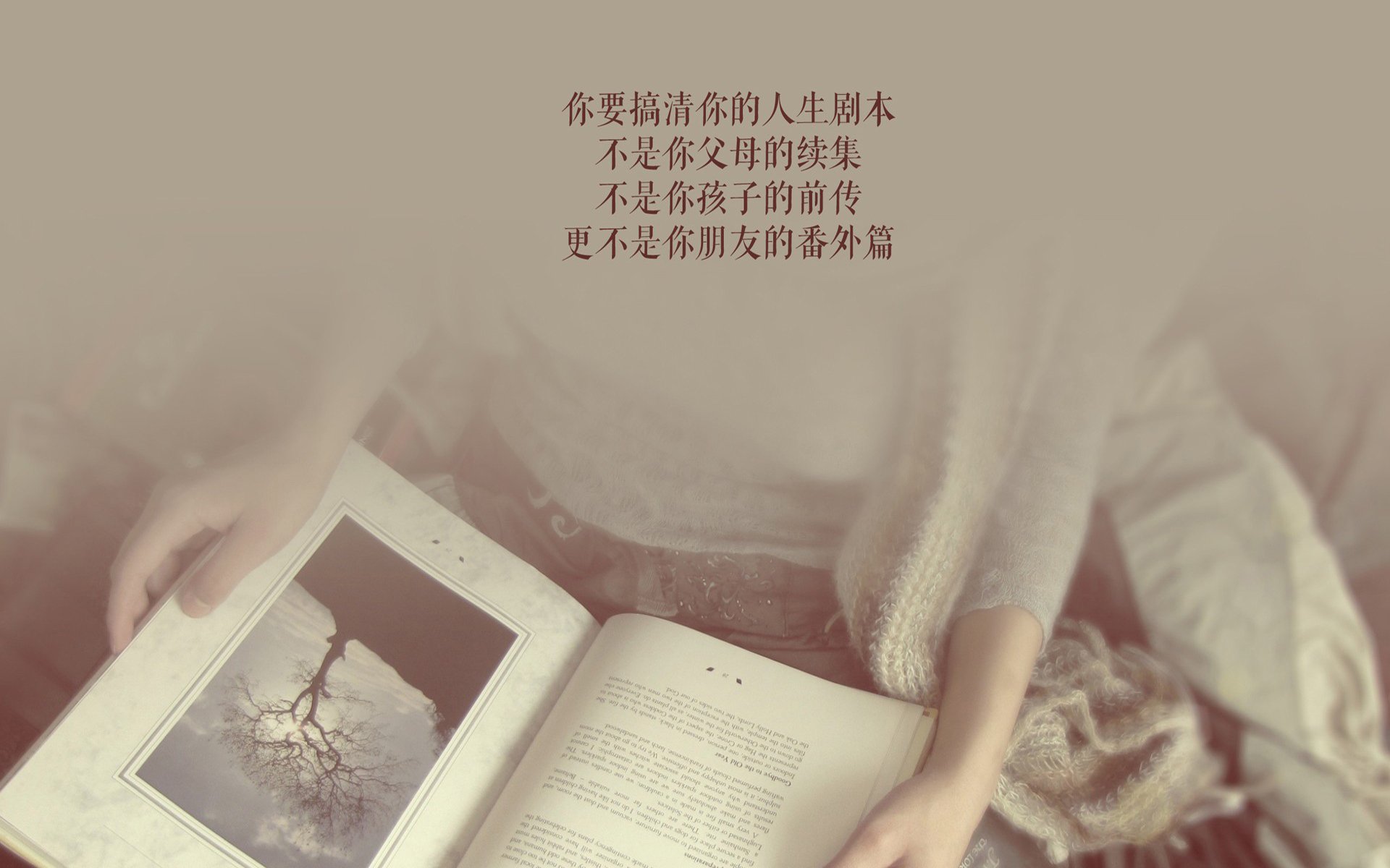 多哈之夜,红白军团掀起风暴,吉鲁掌舵,卡塔尔完胜波兰,A组格局一夜巨变